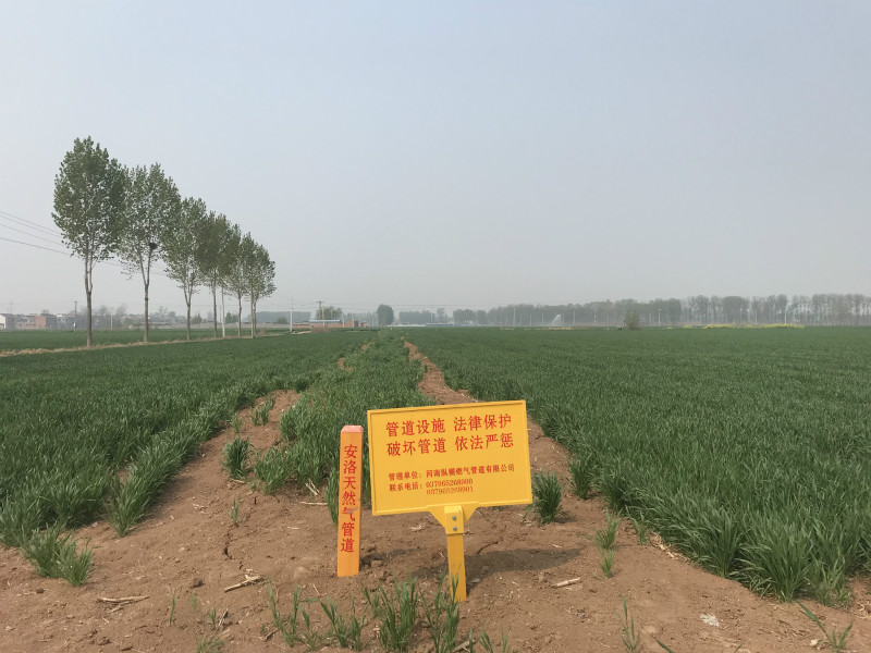 河南縱橫燃?xì)夤艿烙邢薰景?洛天然氣管道（沁陽段）建設(shè)工程