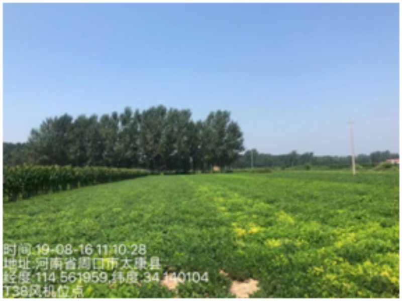 風(fēng)脈太康100MW風(fēng)電項(xiàng)目