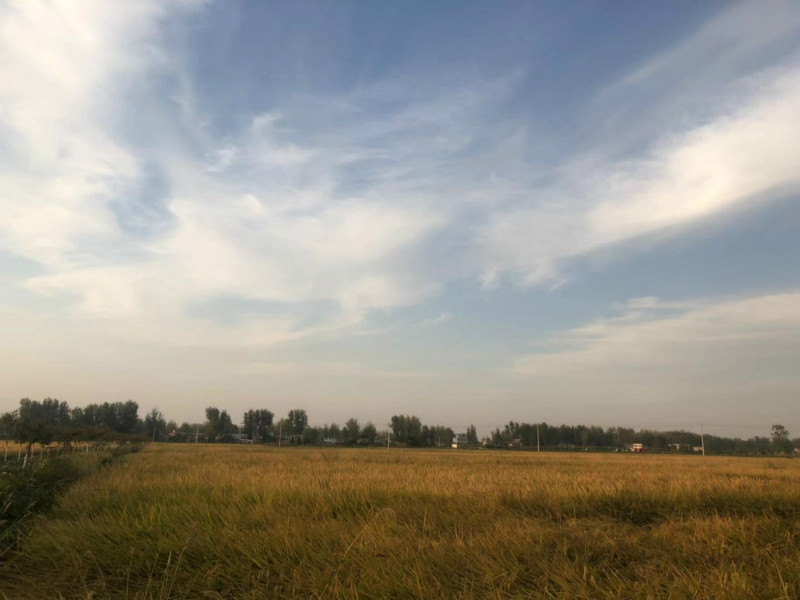 固始武廟100MW風(fēng)電項(xiàng)目