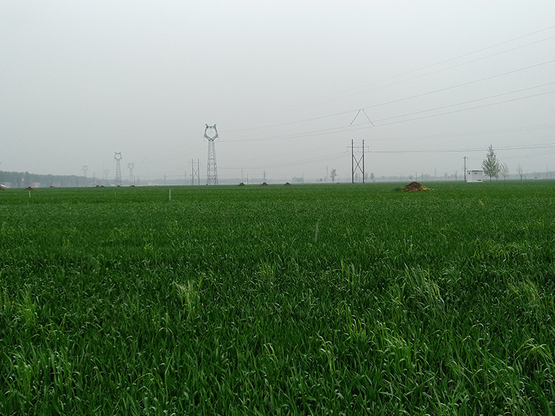 商水協(xié)鑫100MW光伏發(fā)電項目輸變電工程竣工環(huán)境保護(hù)驗收調(diào)查表